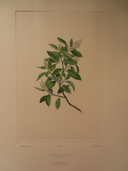 image FDA-E.2916_28_21-2016