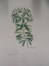 image FDA-E.2916_26_12-2016-A