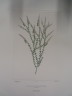 image FDA-E.2916_1_21-2016