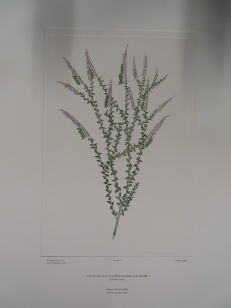 image FDA-E.2916_1_21-2016