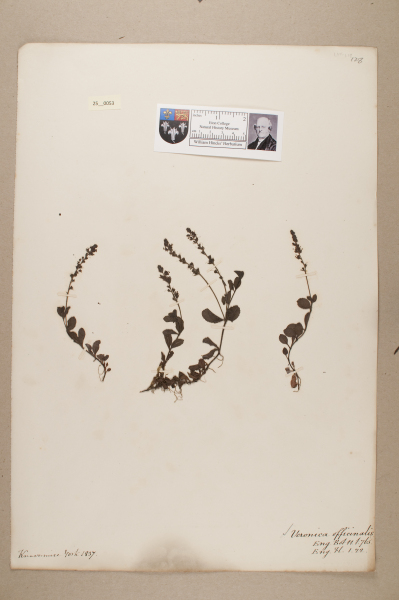 image NHM_HH_25.53-2010