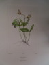 image FDA-E.2916_16_24-2016-A