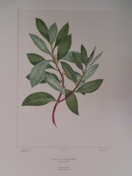 image FDA-E.2916_13_6-2016-A