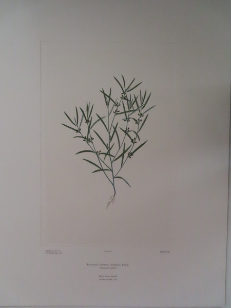 FDA-E.2916_3_16-2016-A image FDA-E.2916_3_16-2016-A