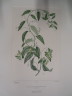 image FDA-E.2916_22_10-2016-A