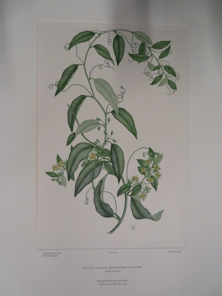 FDA-E.2916_22_10-2016-A image FDA-E.2916_22_10-2016-A