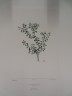 image FDA-E.2916_24_11-2016-A
