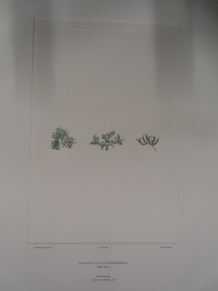 image FDA-E.2916_32_10-2016