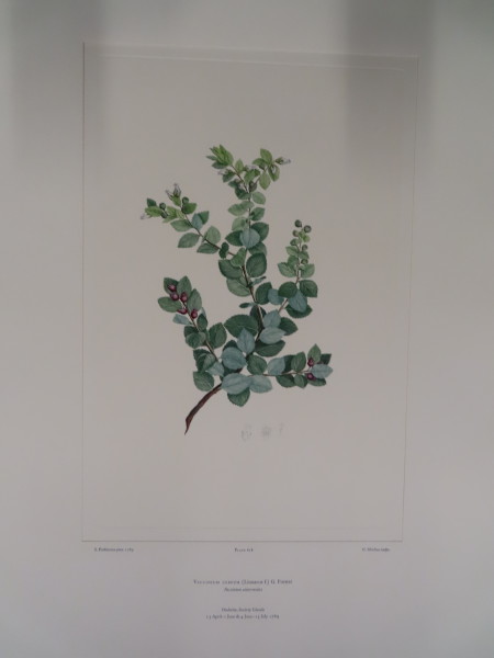 image FDA-E.2916_29_15-2016-A