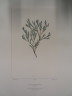image FDA-E.2916_34_16-2016