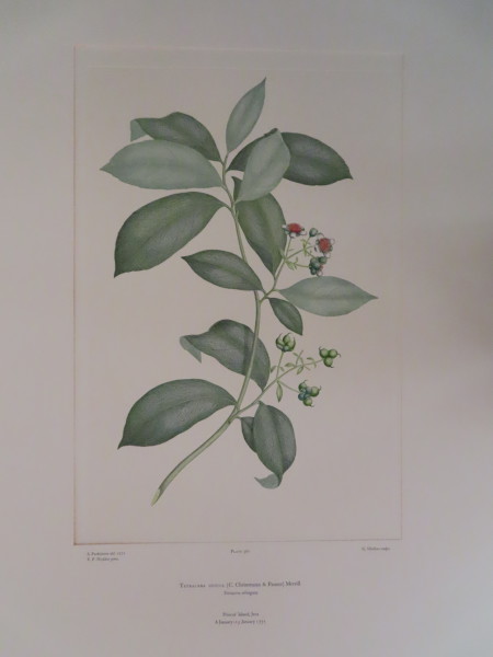 image FDA-E.2916_17_4-2016