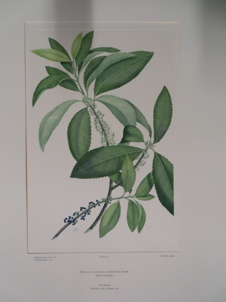 image FDA-E.2916_20_13-2016-A