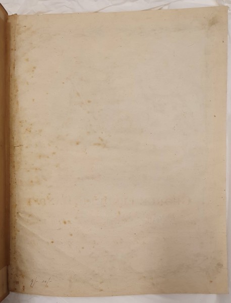 image FDA-E.3271-2024-D