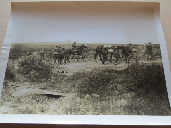 image ECL-O.146_8-2014