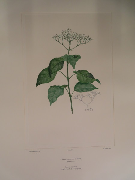 FDA-E.2916_30_13-2016 image FDA-E.2916_30_13-2016