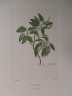 image FDA-E.2916_9_25-2016-A
