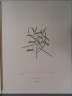 image FDA-E.2916_3_25-2016