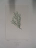image FDA-E.2916_20_18-2016-A