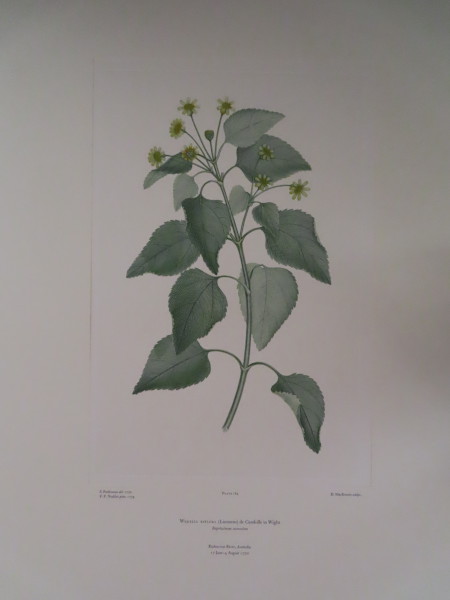 FDA-E.2916_8_10-2016-A image FDA-E.2916_8_10-2016-A