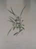 image FDA-E.2916_24_20-2016