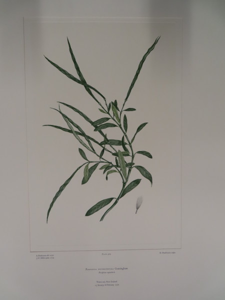 image FDA-E.2916_24_20-2016