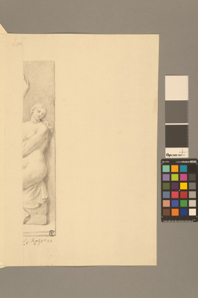 image ECL-Bm.8_33-2013