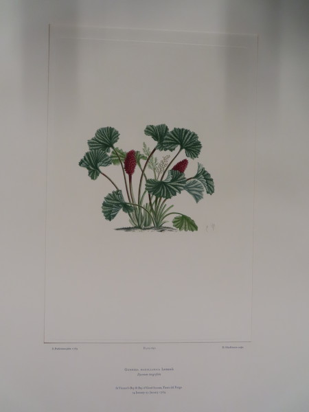 FDA-E.2916_32_20-2016-A image FDA-E.2916_32_20-2016-A