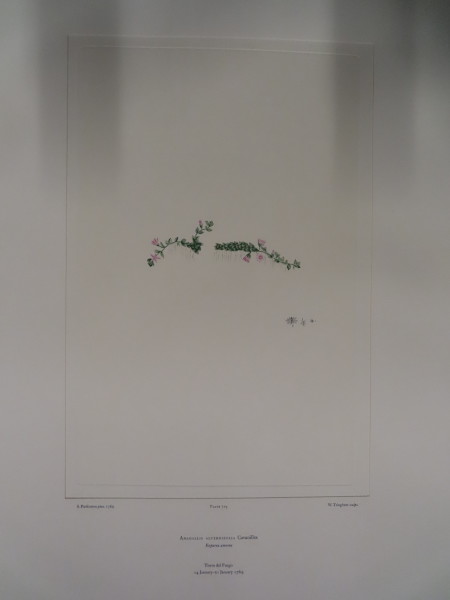 image FDA-E.2916_34_6-2016