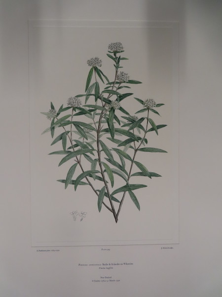 FDA-E.2916_26_8-2016 image FDA-E.2916_26_8-2016