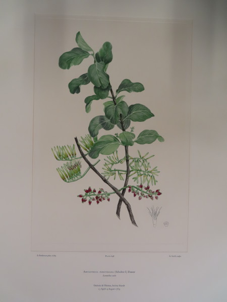 FDA-E.2916_30_23-2016-A image FDA-E.2916_30_23-2016-A