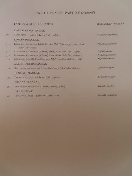 FDA-E.2916_15_3-2016-A image FDA-E.2916_15_3-2016-A
