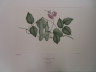 image FDA-E.2916_4_14-2016-A