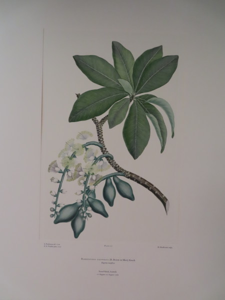 image FDA-E.2916_6_18-2016-A