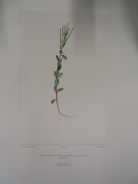 FDA-E.2916_22_6-2016-A image FDA-E.2916_22_6-2016-A