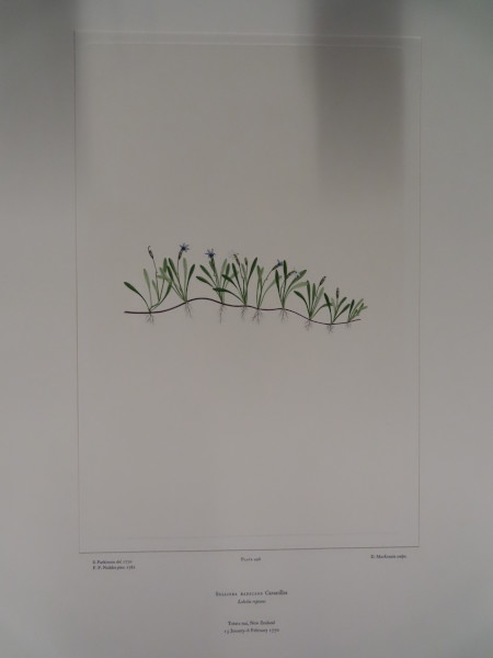 FDA-E.2916_24_7-2016-A image FDA-E.2916_24_7-2016-A