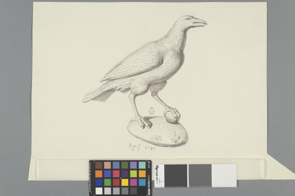 image ECL-Bm.4_98-2012