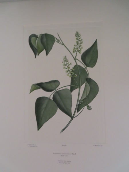 FDA-E.2916_4_19-2016-A image FDA-E.2916_4_19-2016-A