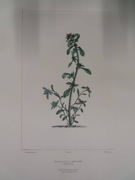 FDA-E.2916_33_13-2016 image FDA-E.2916_33_13-2016