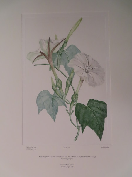 image FDA-E.2916_10_23-2016-A
