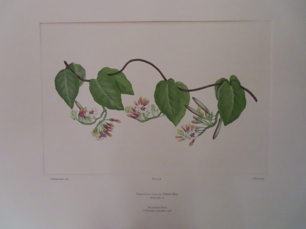 image FDA-E.2916_16_14-2016-A
