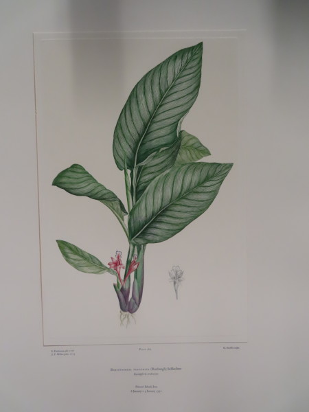 image FDA-E.2916_18_17-2016