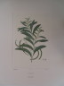 image FDA-E.2916_4_25-2016-A