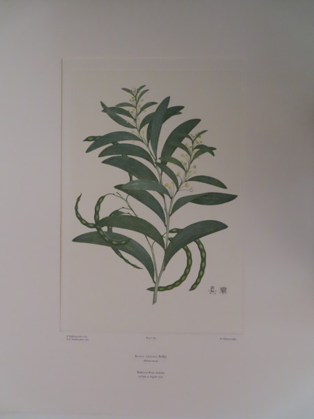 image FDA-E.2916_4_25-2016-A