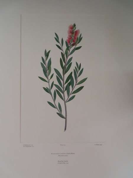 image FDA-E.2916_6_4-2016
