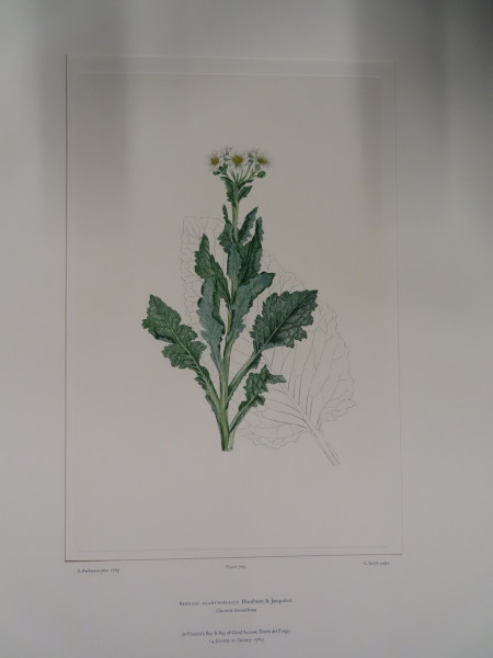 image FDA-E.2916_33_18-2016