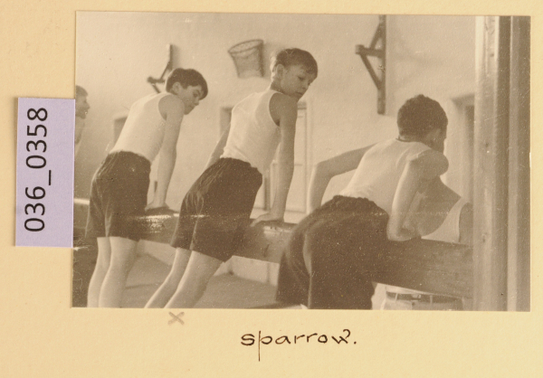 image PA-A.36_358-2012
