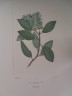 image FDA-E.2916_6_9-2016