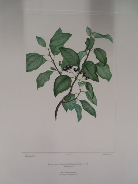 image FDA-E.2916_25_26-2016