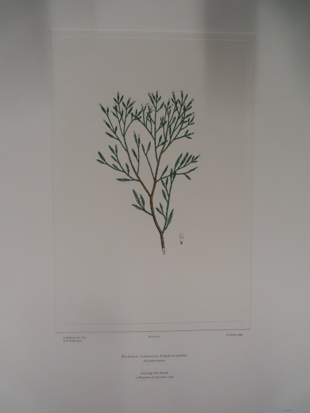 image FDA-E.2916_27_4-2016