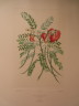 image FDA-E.2916_28_17-2016-A